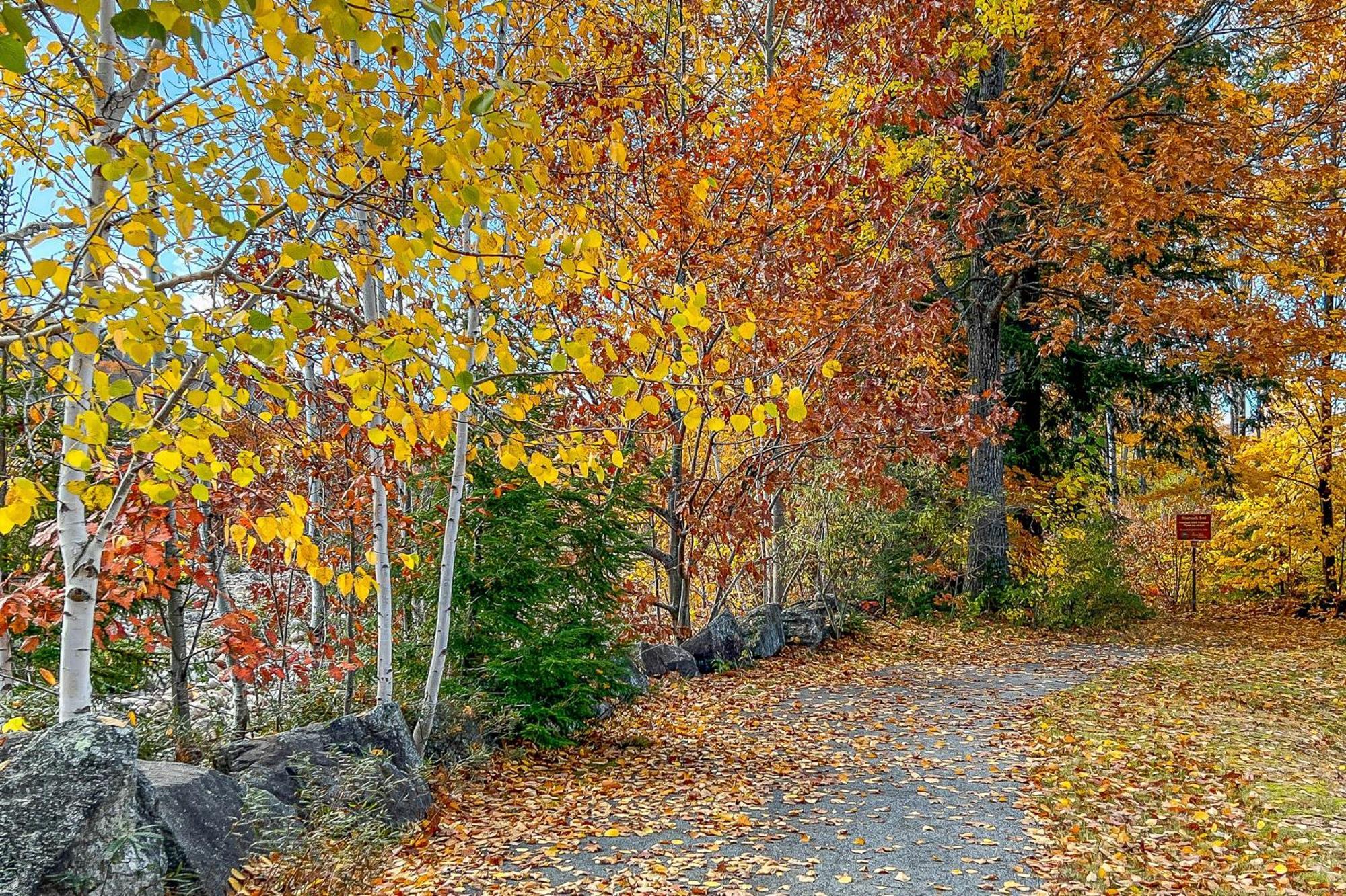 Autumn Colors Condo, Unit 215 Lincoln Bagian luar foto